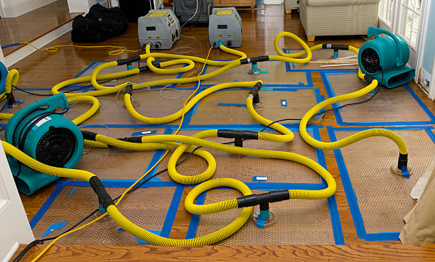 Professional Structural Drying And Dehumidification technician working in Victoria, KS