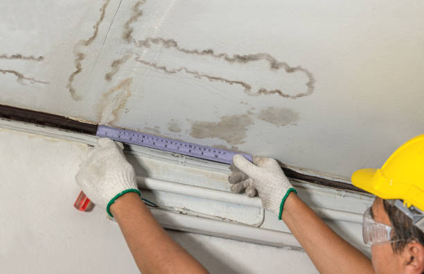 Affordable Structural Drying And Dehumidification solutions in Victoria, KS